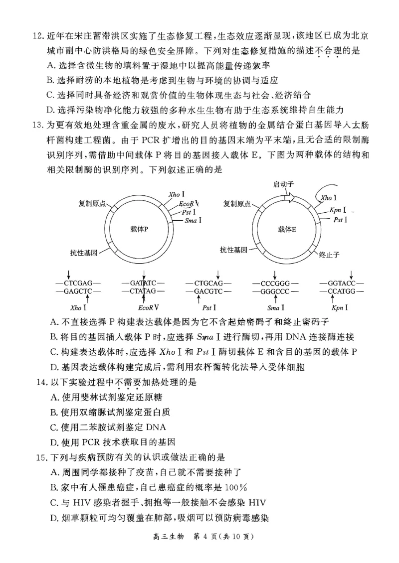 2024北京东城高三二模生物试题及答案(1)_2024年5月_025月合集_2024届北京东城区高三二模