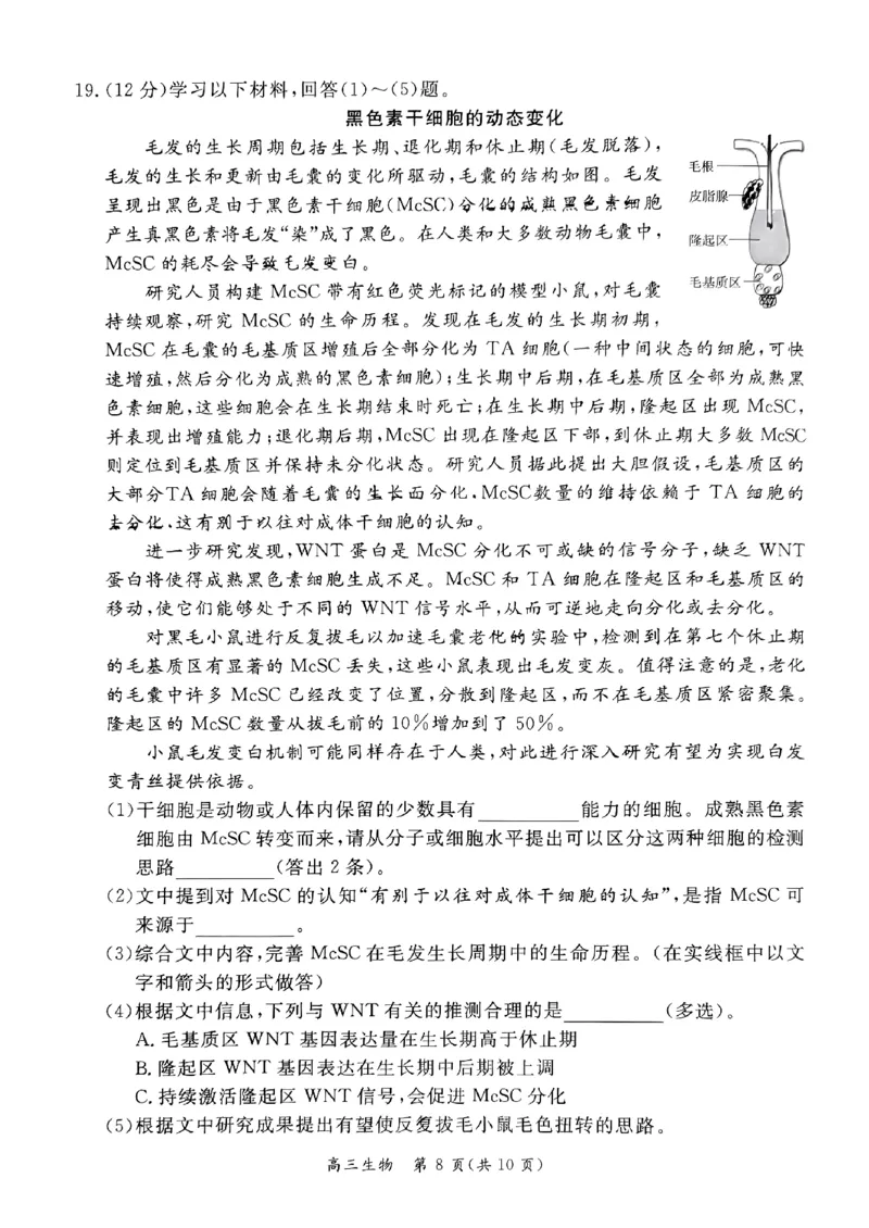 2024北京东城高三二模生物试题及答案(1)_2024年5月_025月合集_2024届北京东城区高三二模