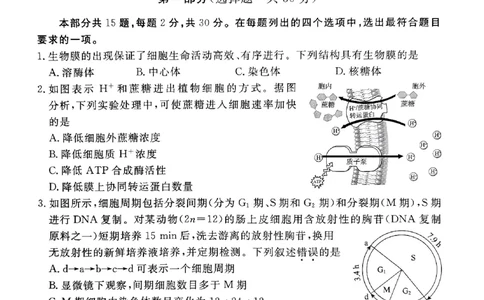 2024北京东城高三二模生物试题及答案(1)_2024年5月_025月合集_2024届北京东城区高三二模