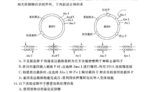 2024北京东城高三二模生物试题及答案(1)_2024年5月_025月合集_2024届北京东城区高三二模