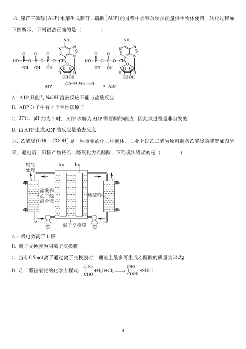 2024年邵阳市第二中学高三入学考试试卷_8月_240811湖南省邵阳市第二中学2024-2025学年高三上学期8月月考_湖南省邵阳市第二中学2024-2025学年高三上学期8月月考化学