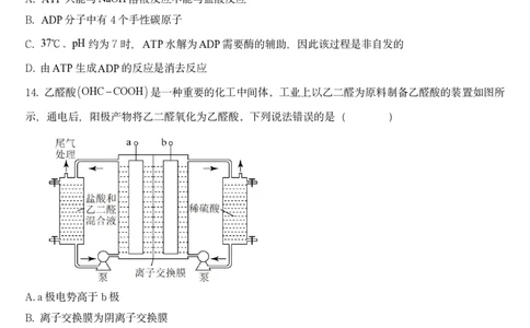 2024年邵阳市第二中学高三入学考试试卷_8月_240811湖南省邵阳市第二中学2024-2025学年高三上学期8月月考_湖南省邵阳市第二中学2024-2025学年高三上学期8月月考化学