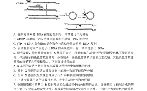 2024届山东省齐鲁名校高三下学期第三次学业质量联合检测生物_2024年4月_01按日期_8号_2024届齐鲁名校大联考山东省高三第三次学业质量联合检测