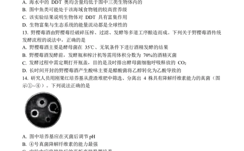 2024届山东省齐鲁名校高三下学期第三次学业质量联合检测生物_2024年4月_01按日期_8号_2024届齐鲁名校大联考山东省高三第三次学业质量联合检测