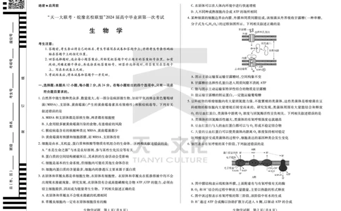 生物学皖豫联盟高三一联试卷(1)_2023年10月_0210月合集_2024届安徽省天一皖豫名校联盟高三上学期第一次大联考_2024届安徽省天一皖豫名校联盟高三上学期第一次大联考生物