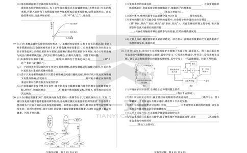 生物学皖豫联盟高三一联试卷(1)_2023年10月_0210月合集_2024届安徽省天一皖豫名校联盟高三上学期第一次大联考_2024届安徽省天一皖豫名校联盟高三上学期第一次大联考生物