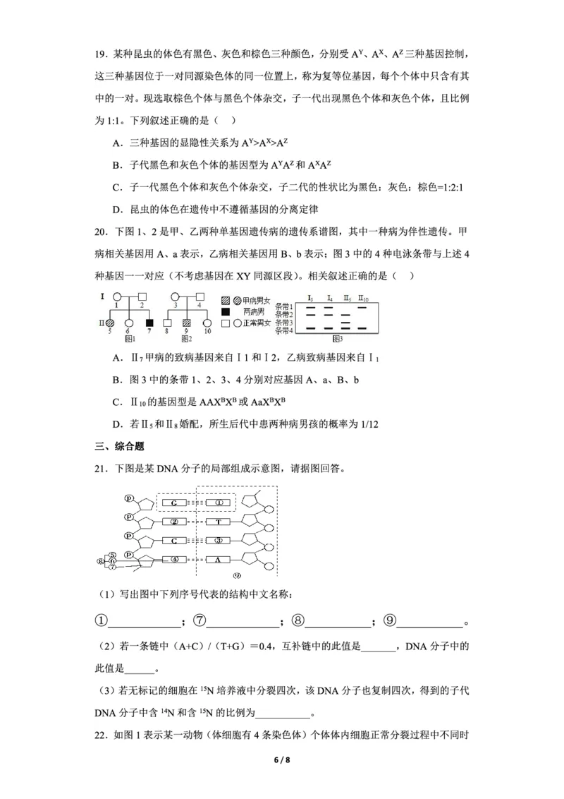 辽宁省新民市高级中学2023-2024学年高三10月月考生物试题(1)_2023年10月_0210月合集_2024届辽宁省新民市高级中学高三10月月考_辽宁省新民市高级中学2024届高三10月月考生物