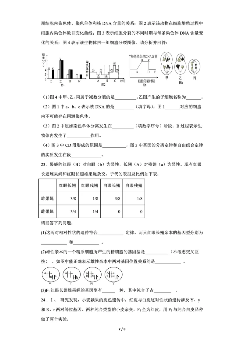 辽宁省新民市高级中学2023-2024学年高三10月月考生物试题(1)_2023年10月_0210月合集_2024届辽宁省新民市高级中学高三10月月考_辽宁省新民市高级中学2024届高三10月月考生物