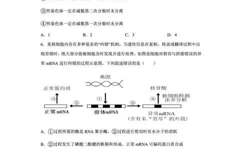 辽宁省新民市高级中学2023-2024学年高三10月月考生物试题(1)_2023年10月_0210月合集_2024届辽宁省新民市高级中学高三10月月考_辽宁省新民市高级中学2024届高三10月月考生物