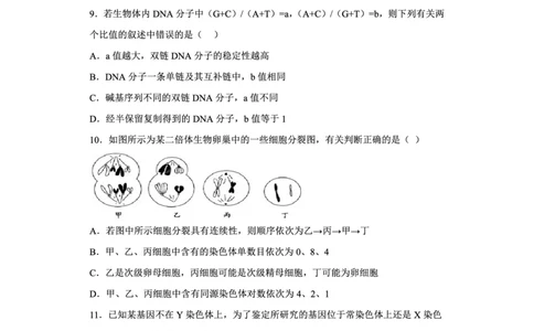 辽宁省新民市高级中学2023-2024学年高三10月月考生物试题(1)_2023年10月_0210月合集_2024届辽宁省新民市高级中学高三10月月考_辽宁省新民市高级中学2024届高三10月月考生物