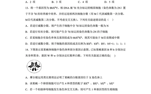 辽宁省新民市高级中学2023-2024学年高三10月月考生物试题(1)_2023年10月_0210月合集_2024届辽宁省新民市高级中学高三10月月考_辽宁省新民市高级中学2024届高三10月月考生物
