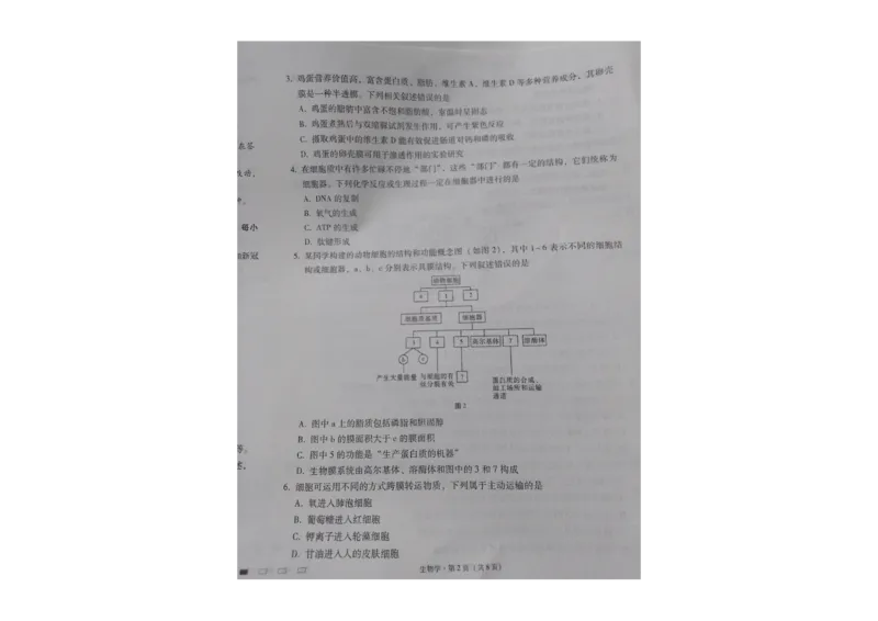 贵州省贵阳第一中学2023-2024学年高三上学期高考适应性月考生物试卷（一）_2023年9月_01每日更新_22号_2024届贵州省贵阳市第一中学高考适应性月考（一）