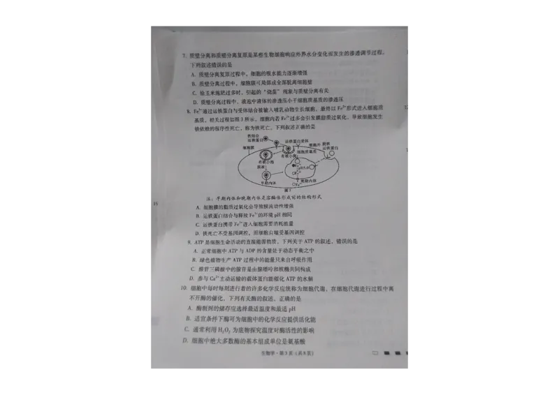 贵州省贵阳第一中学2023-2024学年高三上学期高考适应性月考生物试卷（一）_2023年9月_01每日更新_22号_2024届贵州省贵阳市第一中学高考适应性月考（一）