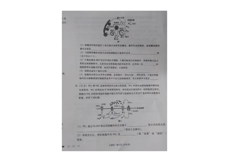 贵州省贵阳第一中学2023-2024学年高三上学期高考适应性月考生物试卷（一）_2023年9月_01每日更新_22号_2024届贵州省贵阳市第一中学高考适应性月考（一）