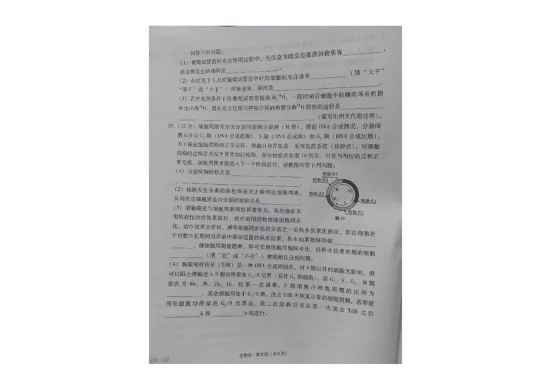 贵州省贵阳第一中学2023-2024学年高三上学期高考适应性月考生物试卷（一）_2023年9月_01每日更新_22号_2024届贵州省贵阳市第一中学高考适应性月考（一）