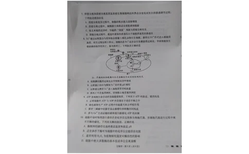 贵州省贵阳第一中学2023-2024学年高三上学期高考适应性月考生物试卷（一）_2023年9月_01每日更新_22号_2024届贵州省贵阳市第一中学高考适应性月考（一）