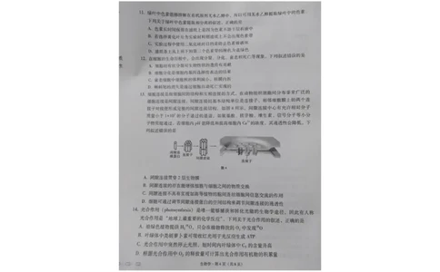 贵州省贵阳第一中学2023-2024学年高三上学期高考适应性月考生物试卷（一）_2023年9月_01每日更新_22号_2024届贵州省贵阳市第一中学高考适应性月考（一）