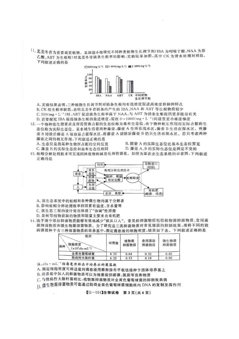2024届安徽省阜阳市皖江名校联盟高三下学期5月模拟预测生物试题_2024年5月_01按日期_21号_2024届安徽皖江名校联盟高三5月最后一卷G-024_皖江名校联盟2024高三5月最后一卷生物试题