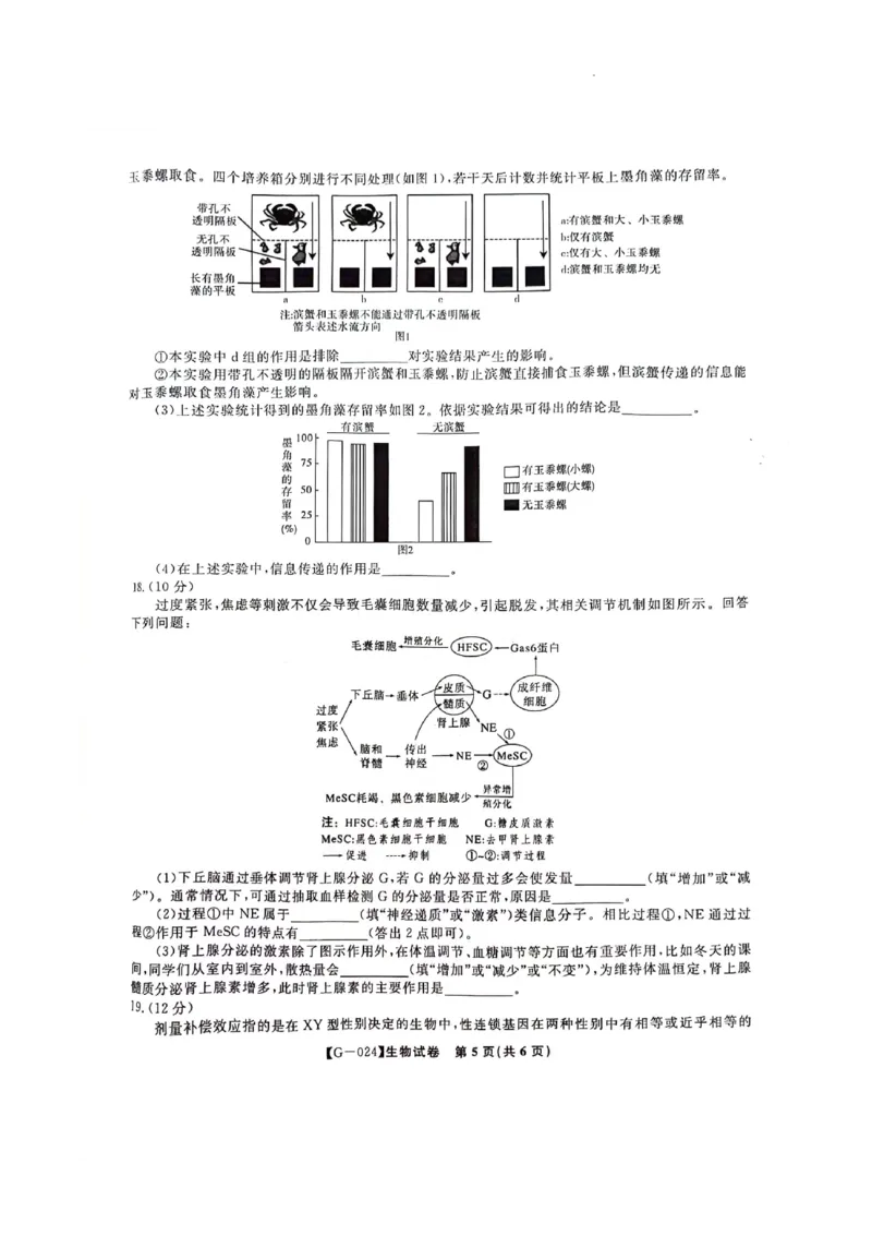 2024届安徽省阜阳市皖江名校联盟高三下学期5月模拟预测生物试题_2024年5月_01按日期_21号_2024届安徽皖江名校联盟高三5月最后一卷G-024_皖江名校联盟2024高三5月最后一卷生物试题