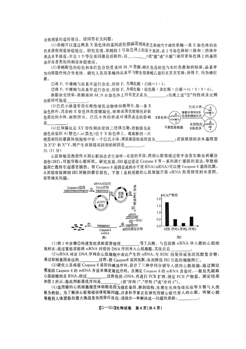2024届安徽省阜阳市皖江名校联盟高三下学期5月模拟预测生物试题_2024年5月_01按日期_21号_2024届安徽皖江名校联盟高三5月最后一卷G-024_皖江名校联盟2024高三5月最后一卷生物试题