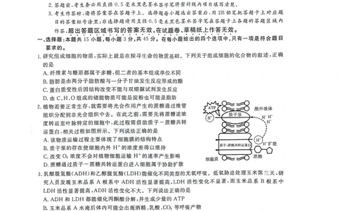 2024届安徽省阜阳市皖江名校联盟高三下学期5月模拟预测生物试题_2024年5月_01按日期_21号_2024届安徽皖江名校联盟高三5月最后一卷G-024_皖江名校联盟2024高三5月最后一卷生物试题