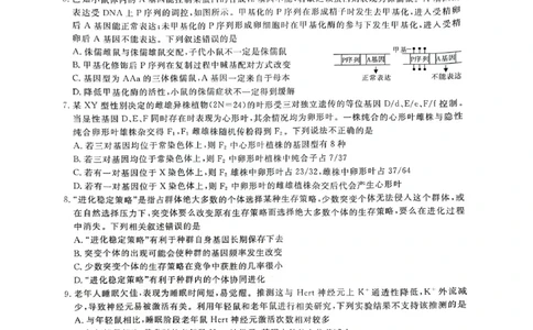 2024届安徽省阜阳市皖江名校联盟高三下学期5月模拟预测生物试题_2024年5月_01按日期_21号_2024届安徽皖江名校联盟高三5月最后一卷G-024_皖江名校联盟2024高三5月最后一卷生物试题