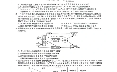 2024届安徽省阜阳市皖江名校联盟高三下学期5月模拟预测生物试题_2024年5月_01按日期_21号_2024届安徽皖江名校联盟高三5月最后一卷G-024_皖江名校联盟2024高三5月最后一卷生物试题