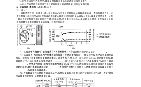 2024届安徽省阜阳市皖江名校联盟高三下学期5月模拟预测生物试题_2024年5月_01按日期_21号_2024届安徽皖江名校联盟高三5月最后一卷G-024_皖江名校联盟2024高三5月最后一卷生物试题