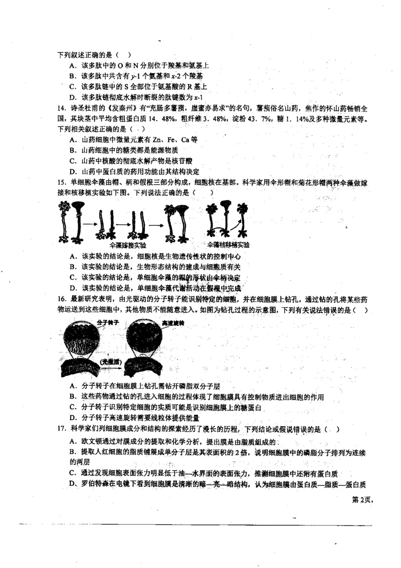 黑龙江省哈尔滨师范大学附属中学2023-2024学年高三上学期第二次调研考试生物(1)_2023年10月_01每日更新_19号_2024届黑龙江省哈尔滨师范大学附属中学高三上学期第二次调研考试