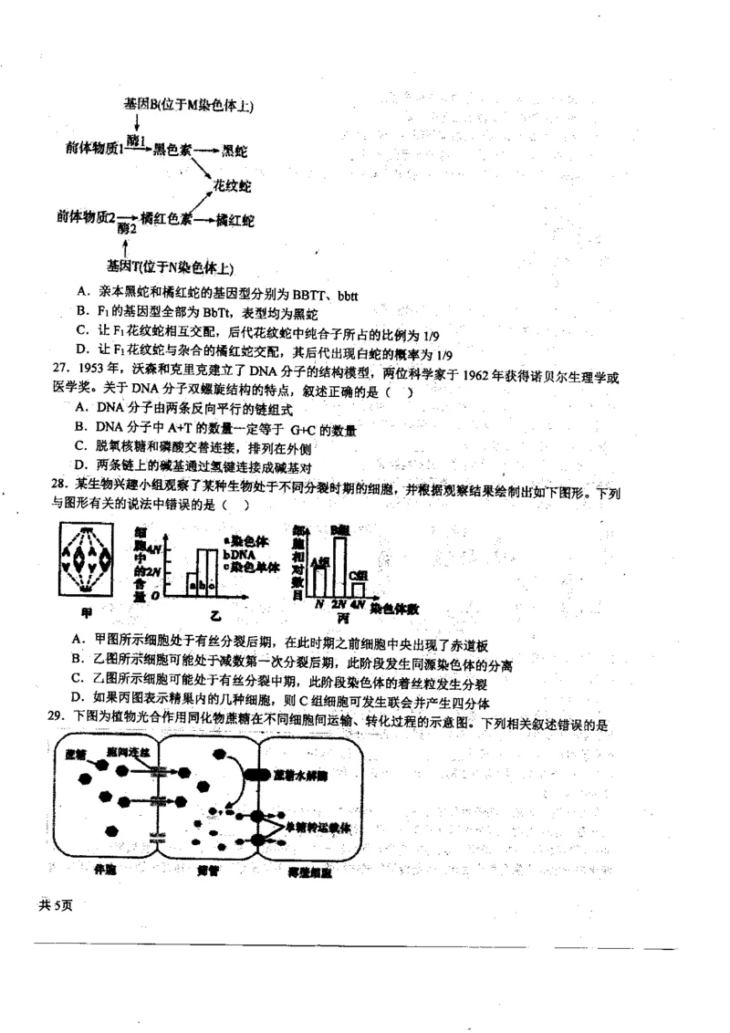 黑龙江省哈尔滨师范大学附属中学2023-2024学年高三上学期第二次调研考试生物(1)_2023年10月_01每日更新_19号_2024届黑龙江省哈尔滨师范大学附属中学高三上学期第二次调研考试