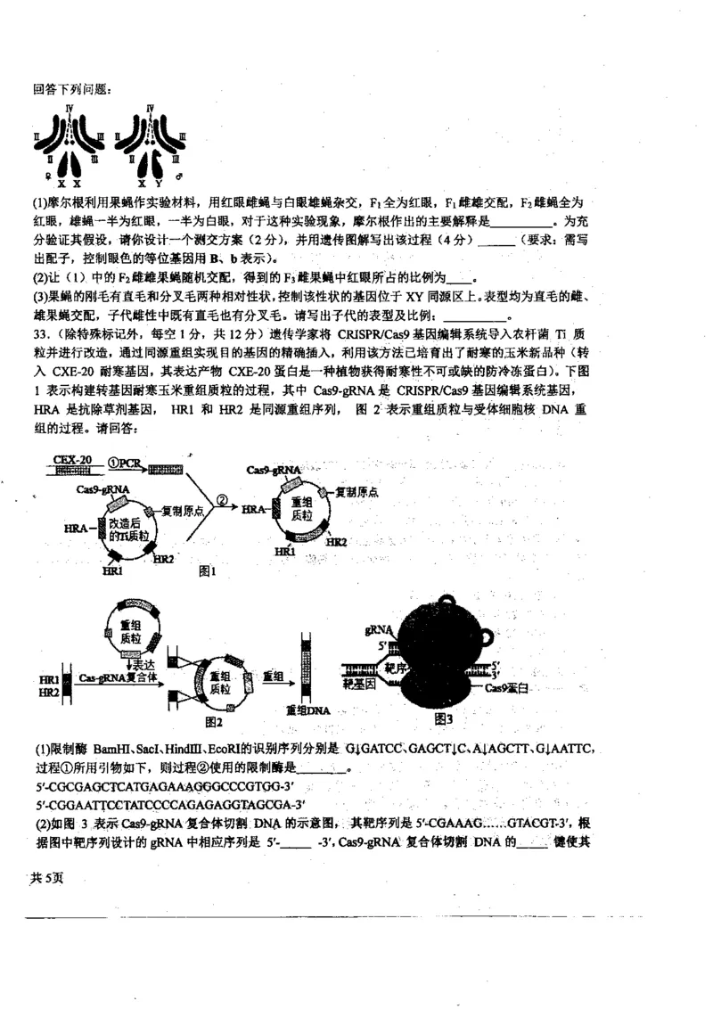 黑龙江省哈尔滨师范大学附属中学2023-2024学年高三上学期第二次调研考试生物(1)_2023年10月_01每日更新_19号_2024届黑龙江省哈尔滨师范大学附属中学高三上学期第二次调研考试