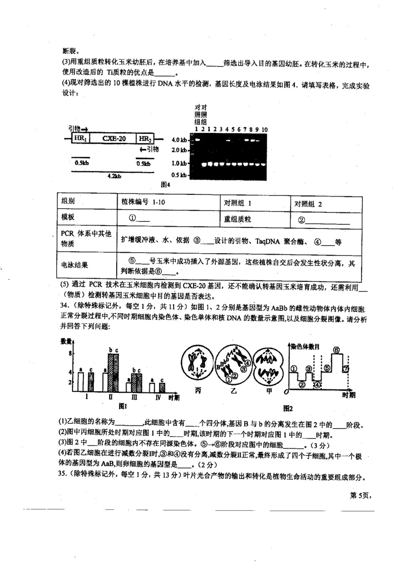 黑龙江省哈尔滨师范大学附属中学2023-2024学年高三上学期第二次调研考试生物(1)_2023年10月_01每日更新_19号_2024届黑龙江省哈尔滨师范大学附属中学高三上学期第二次调研考试