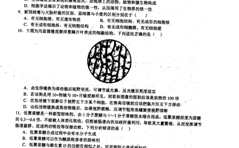黑龙江省哈尔滨师范大学附属中学2023-2024学年高三上学期第二次调研考试生物(1)_2023年10月_01每日更新_19号_2024届黑龙江省哈尔滨师范大学附属中学高三上学期第二次调研考试