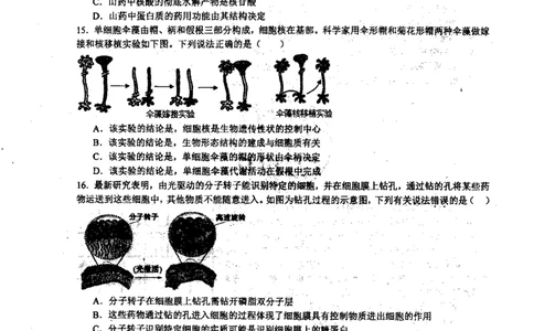 黑龙江省哈尔滨师范大学附属中学2023-2024学年高三上学期第二次调研考试生物(1)_2023年10月_01每日更新_19号_2024届黑龙江省哈尔滨师范大学附属中学高三上学期第二次调研考试