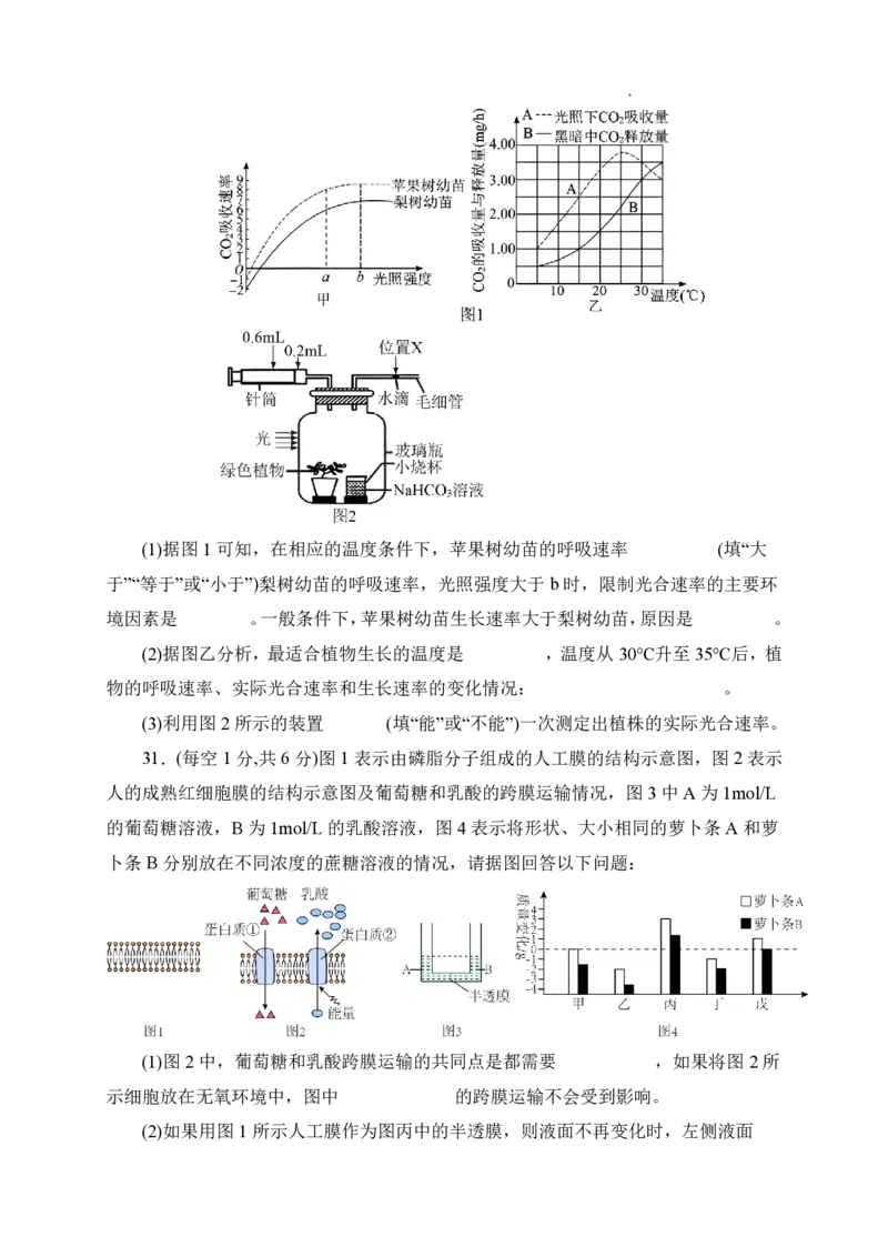 石室阳安中学高三上(开学考)-理综试题+答案(1)_2023年9月_029月合集_2024届四川省成都市石室阳安中学高三上学期开学考