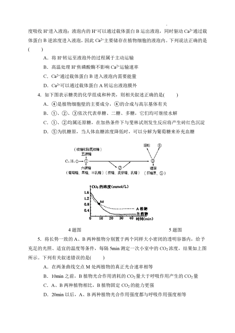 石室阳安中学高三上(开学考)-理综试题+答案(1)_2023年9月_029月合集_2024届四川省成都市石室阳安中学高三上学期开学考