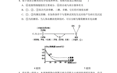 石室阳安中学高三上(开学考)-理综试题+答案(1)_2023年9月_029月合集_2024届四川省成都市石室阳安中学高三上学期开学考