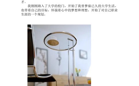 室内设计职业生涯规划(1)_E6-职业规划_80室内设计专业