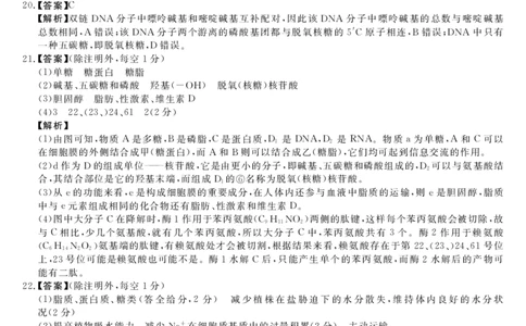 生物答案_2023年9月_01每日更新_22号_2024届河南省中原名校联盟高三上学期9月调研考试_河南省中原名校联盟2024届高三上学期9月调研考试生物