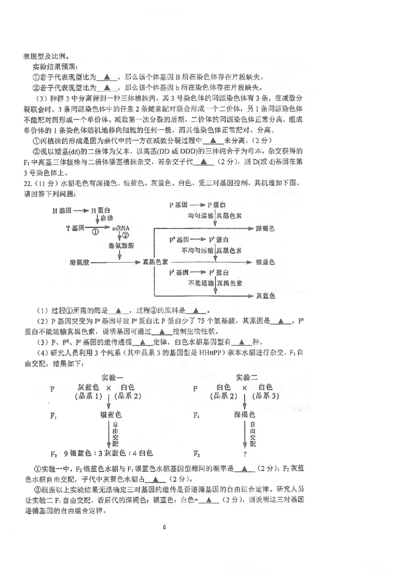 江苏省泰州中学2022-2023学年高三上学期期初调研考试生物试题(1)_2023年8月_028月合集_2023届江苏省泰州中学高三上学期期初调研考试