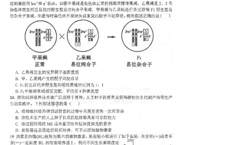 江苏省泰州中学2022-2023学年高三上学期期初调研考试生物试题(1)_2023年8月_028月合集_2023届江苏省泰州中学高三上学期期初调研考试