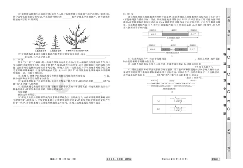 理综试题_2023高考押题卷_32023高考衡水金卷先享题调研卷_新教材版_调研卷&middot;理综