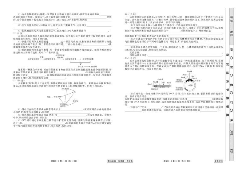 理综试题_2023高考押题卷_32023高考衡水金卷先享题调研卷_新教材版_调研卷&middot;理综