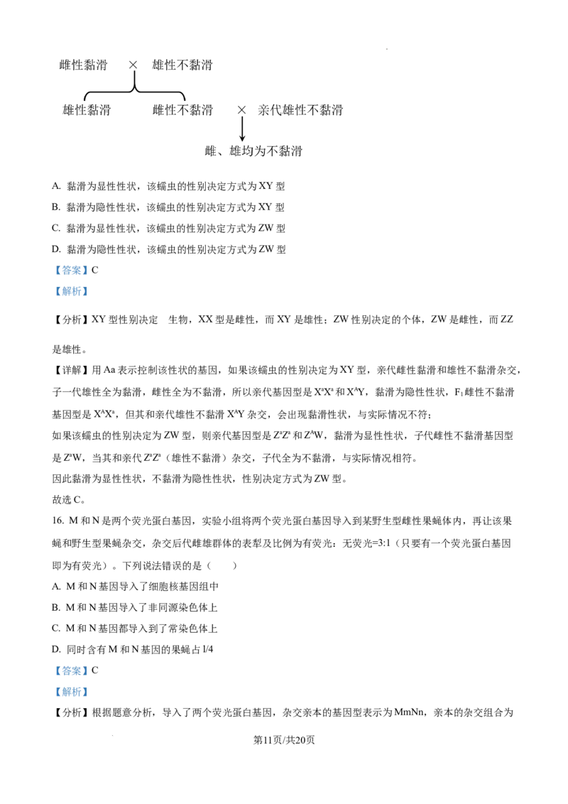 甘肃省平凉市第一中学校2025届高三上学期第四次阶段性考试生物答案_2025年1月_250102甘肃省平凉市第一中学校2025届高三上学期第四次阶段性考试（全科）_生物