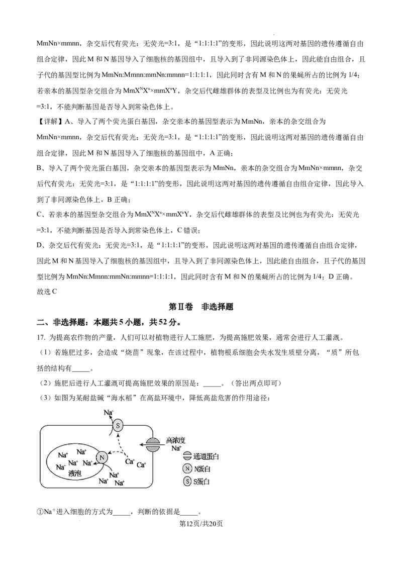 甘肃省平凉市第一中学校2025届高三上学期第四次阶段性考试生物答案_2025年1月_250102甘肃省平凉市第一中学校2025届高三上学期第四次阶段性考试（全科）_生物