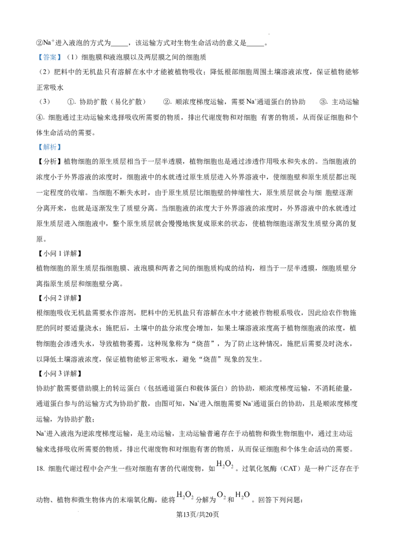 甘肃省平凉市第一中学校2025届高三上学期第四次阶段性考试生物答案_2025年1月_250102甘肃省平凉市第一中学校2025届高三上学期第四次阶段性考试（全科）_生物