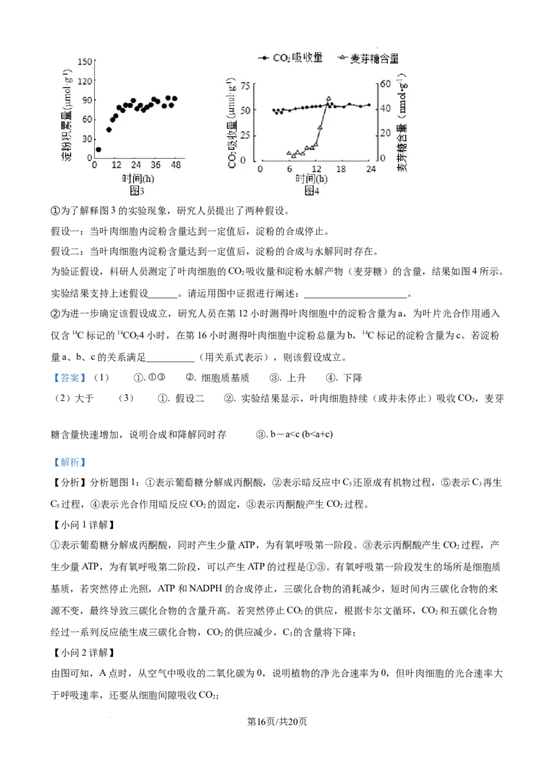甘肃省平凉市第一中学校2025届高三上学期第四次阶段性考试生物答案_2025年1月_250102甘肃省平凉市第一中学校2025届高三上学期第四次阶段性考试（全科）_生物