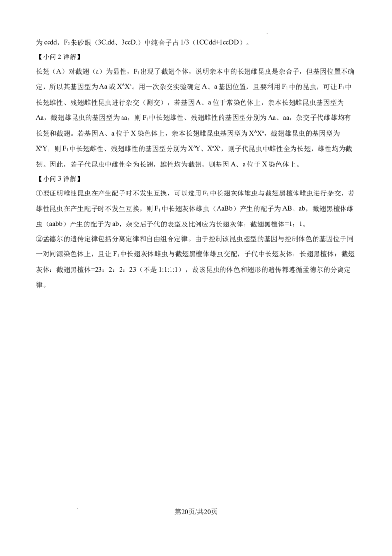 甘肃省平凉市第一中学校2025届高三上学期第四次阶段性考试生物答案_2025年1月_250102甘肃省平凉市第一中学校2025届高三上学期第四次阶段性考试（全科）_生物