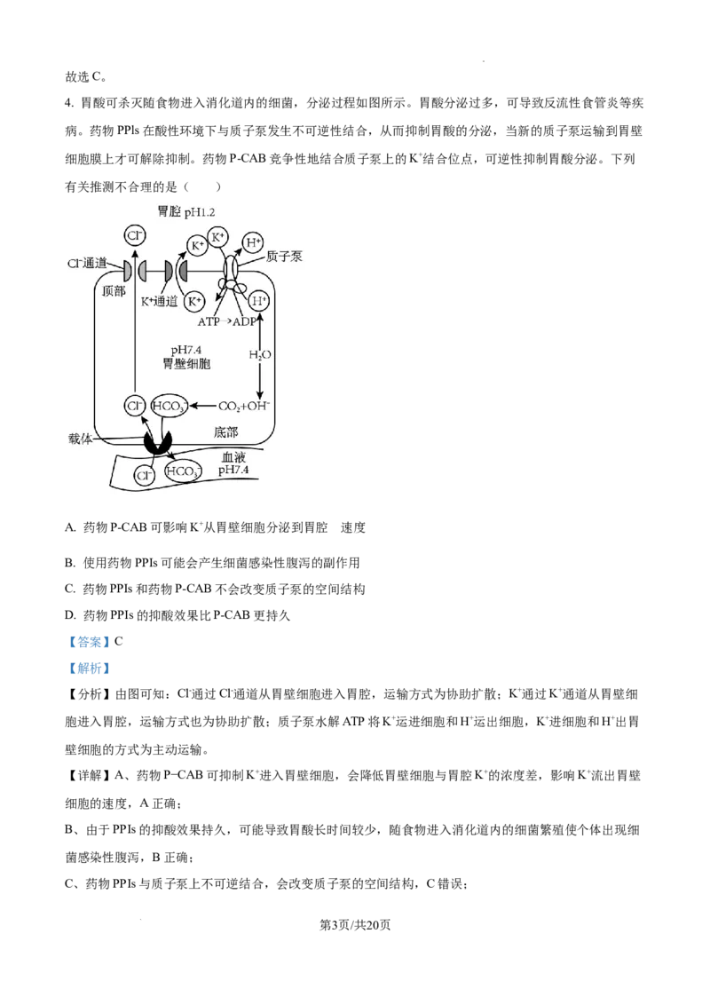 甘肃省平凉市第一中学校2025届高三上学期第四次阶段性考试生物答案_2025年1月_250102甘肃省平凉市第一中学校2025届高三上学期第四次阶段性考试（全科）_生物