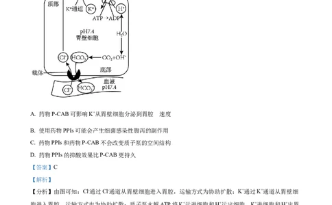 甘肃省平凉市第一中学校2025届高三上学期第四次阶段性考试生物答案_2025年1月_250102甘肃省平凉市第一中学校2025届高三上学期第四次阶段性考试（全科）_生物